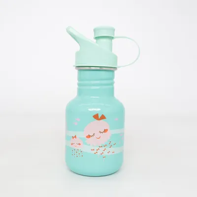 Water bottle (Green, Multicolored) from Klean Kanteen