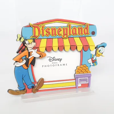 Frame (Multicolored) from Disney Land