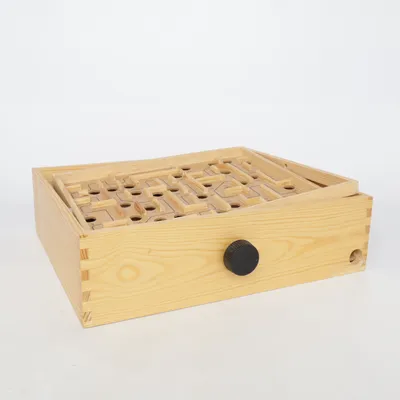 Hersenkraker puzzel (Labyrintspel) van Alga