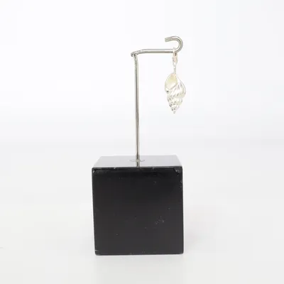 Hanger (Zilver) Onbekend materiaal