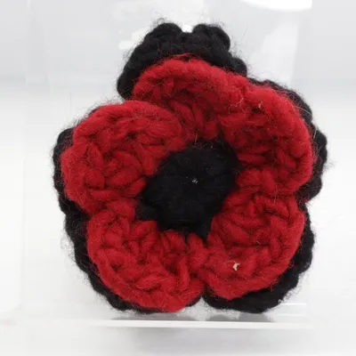 Brosch (Svart, Röd) från Coccinelle Okänd metall