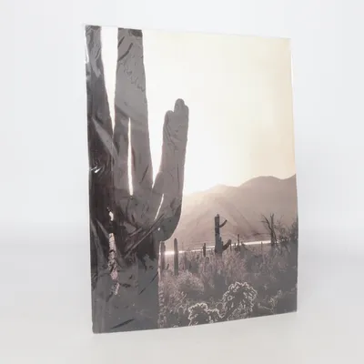 Poster van Estancia