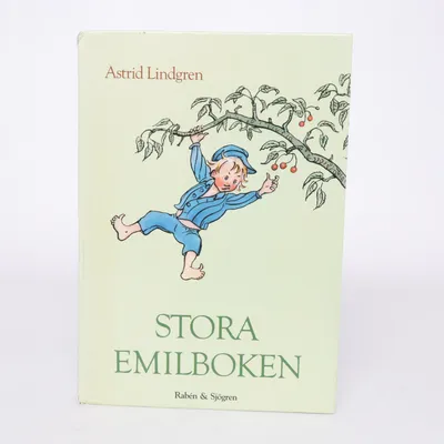 Kinderboek