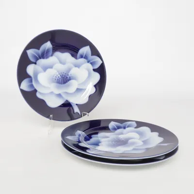 Plate (Blue, White)