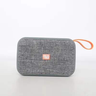 Haut-parleur Bluetooth (Tg508) de T & G