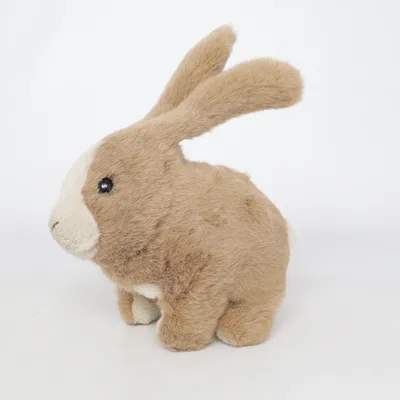 Peluche (Marron) de Top-Toy