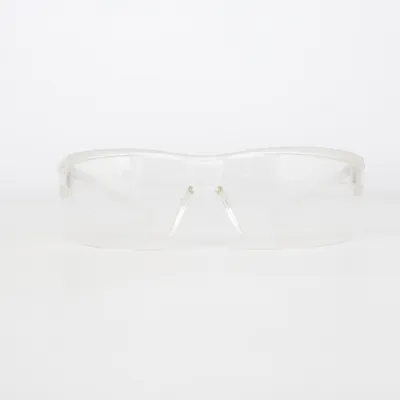 Protective goggles (Transparent) from Zekler