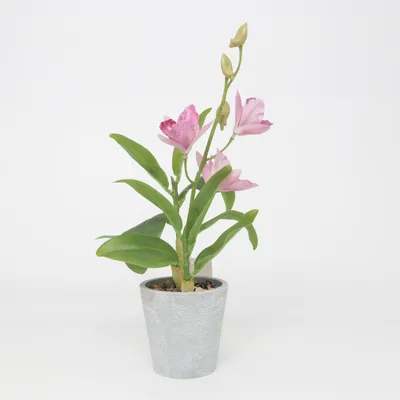Plante artificielle (Rose, Vert) de Rossmann