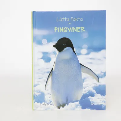 Kinderboek