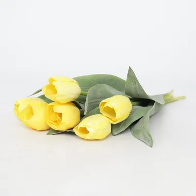 Kunstplant (Geel, Groen)