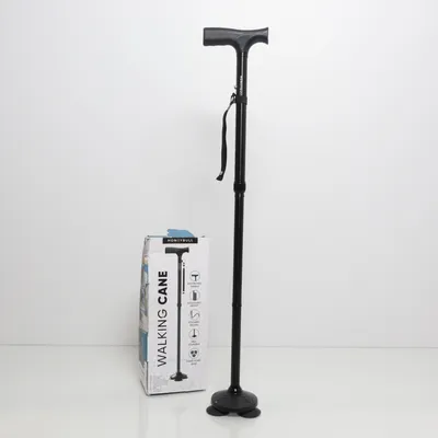 Käpp (Svart) från Foldable