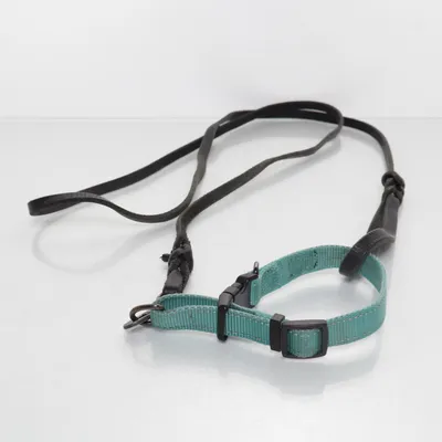 Koppel (Svart, Turkos) från Rukka