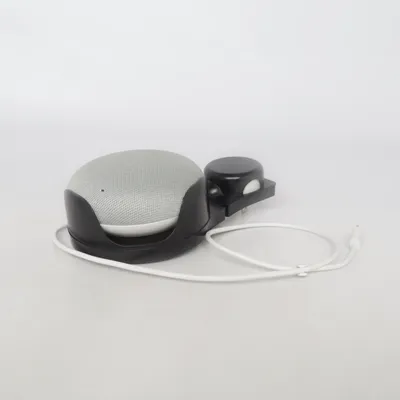 Assistant vocal (W17-009N1A) de Google