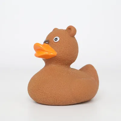 Badeend (Bruin, Oranje) van Lilalu