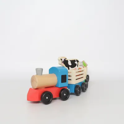 Speelgoed trein (Meerkleurig) van Melissa & Doug