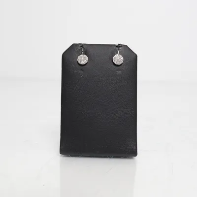 Earrings (Silver) from Fossil Unknown metal