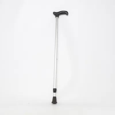 Käpp (Silverfärgad)