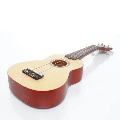 Instrument (Brun, Beige) från Everjoys