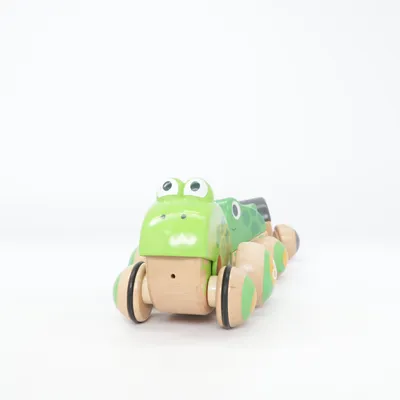 Jouet à tirer (Vert, Noir, Multicolore) de Hape