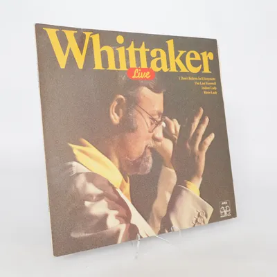 Vinyl record