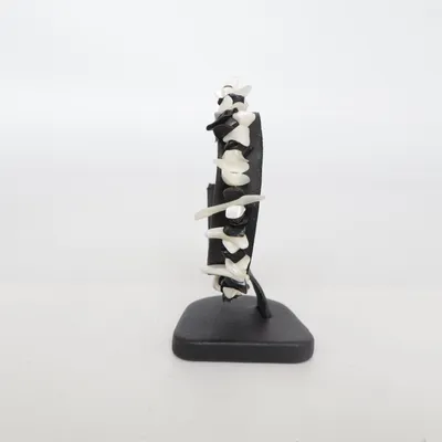 Bracelet (Noir, Blanc) de Mique Coquillage, Métal inconnu