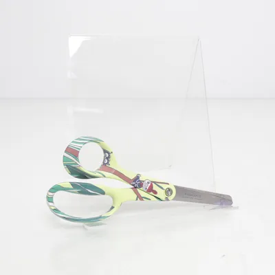 Schaar (Groen, Meerkleurig) van Fiskars