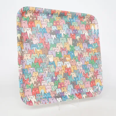 Plateau (Katter) de Mudo Concept