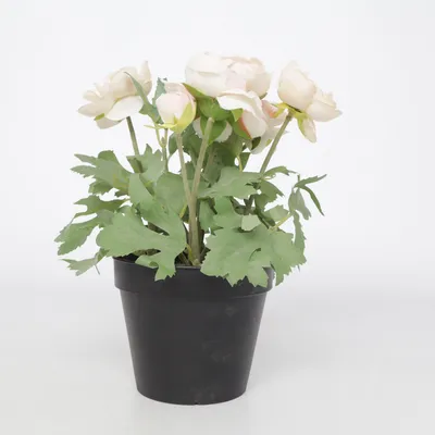 Kunstig plante (Fejka) fra IKEA