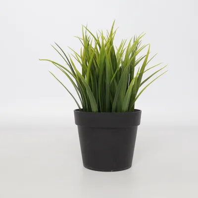 Kunstig plante (Grøn, Sort) fra IKEA