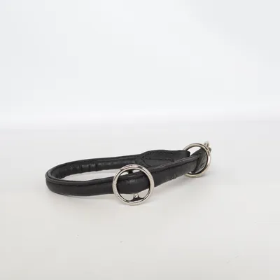 Dog collar (Black) from Hunter
