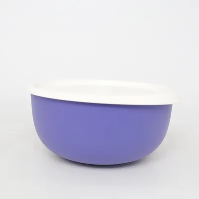 Skål (Blå, Vit) från Tupperware
