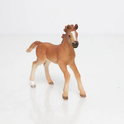 Toy animal (Brown, Multicolored) from Schleich