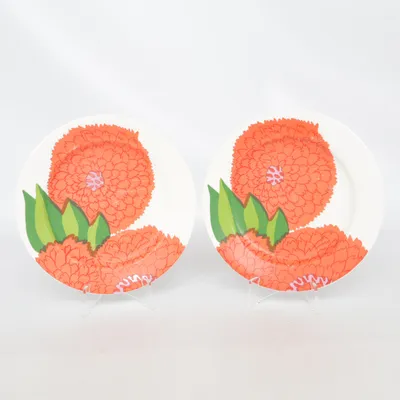 Tallrik (Primavera) från Iittala Marimekko