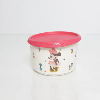 Förvaring (Flerfärgad) från Tupperware
