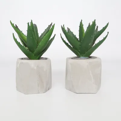 Artificial plant (Green, Gray)
