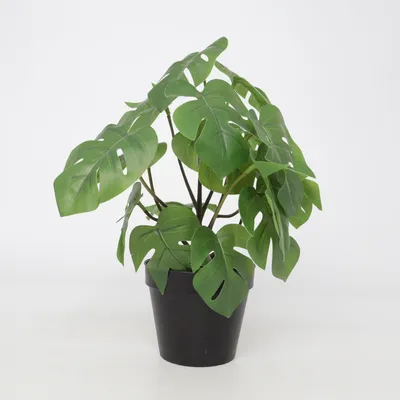 Artificial plant (Fejka) from IKEA