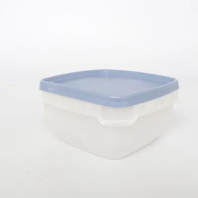 Lunch box (Blue, White) from Orthex