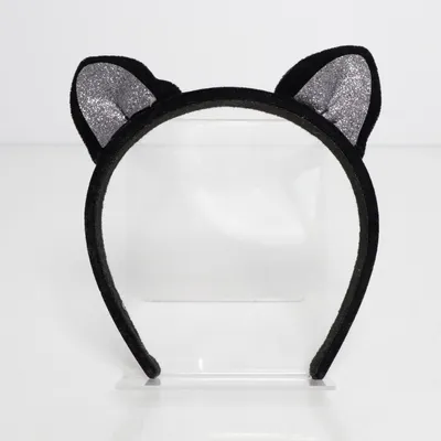 Kostuum accessoires (Zwart, Zilver)