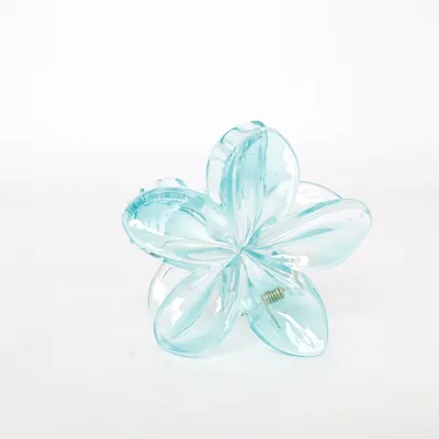 Pince à cheveux (Turquoise)