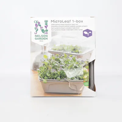 Pot (Microleaf 1-Box) from Nelson Garden