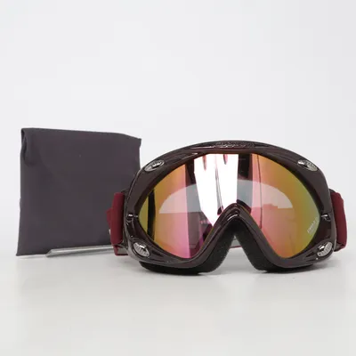 Ski goggles (Purple) from Carrera