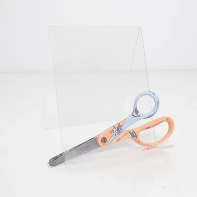 Schaar (Oranje, Blauw, Zilver) van Fiskars