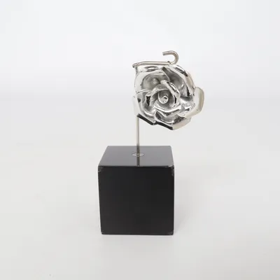 Pendentif (Argent) Métal inconnu