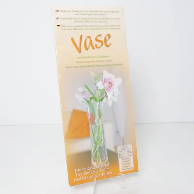 Vaas (Transparant) van Lei Mar