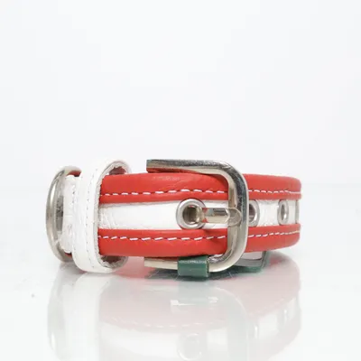Dog collar (Red) from Hunter
