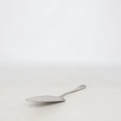 Cake slicer (Silver) from Gense