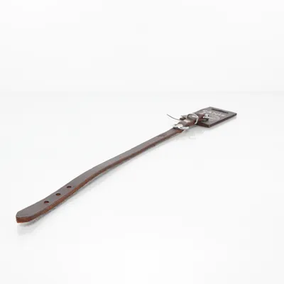 Hundhalsband (Brun) från Active Canis