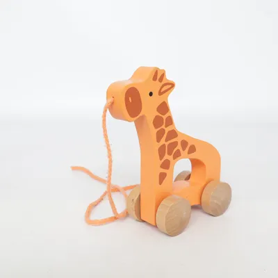 Træklegetøj (Orange, Brun) fra Hape