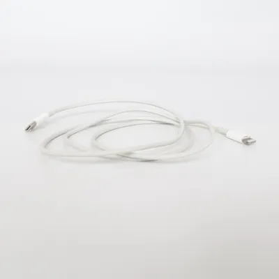 USB cable from Apple