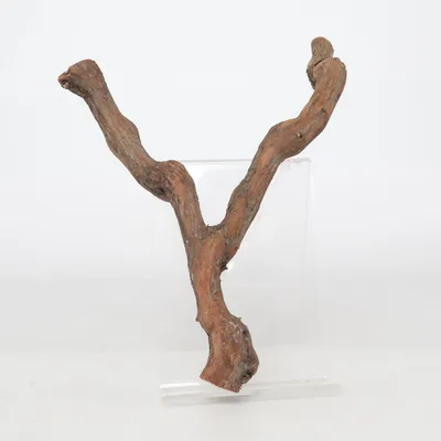 Terrariumtilbehør (Brun)